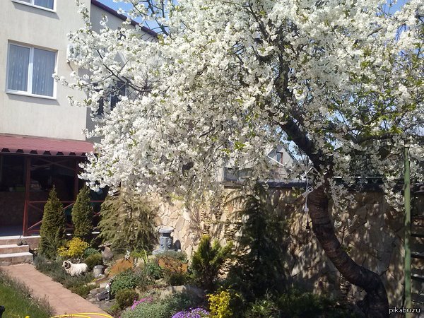 � ���� � ���� ����� )