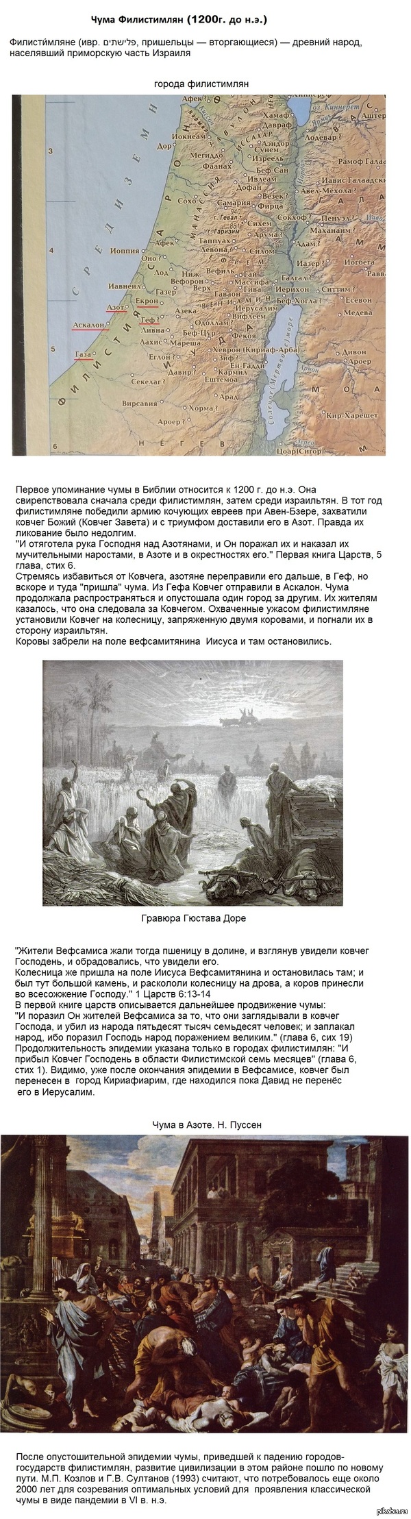 ���� �����������