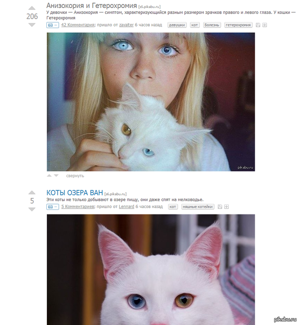 ����������� �������!