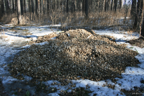         ?    ,    ...  20  .