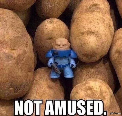 �� ������