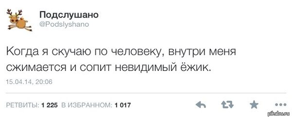 ��������� ����