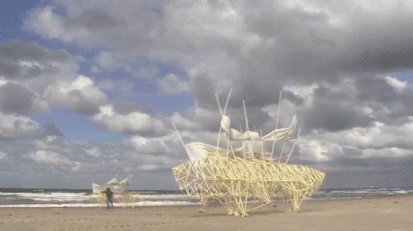 Strandbeest 