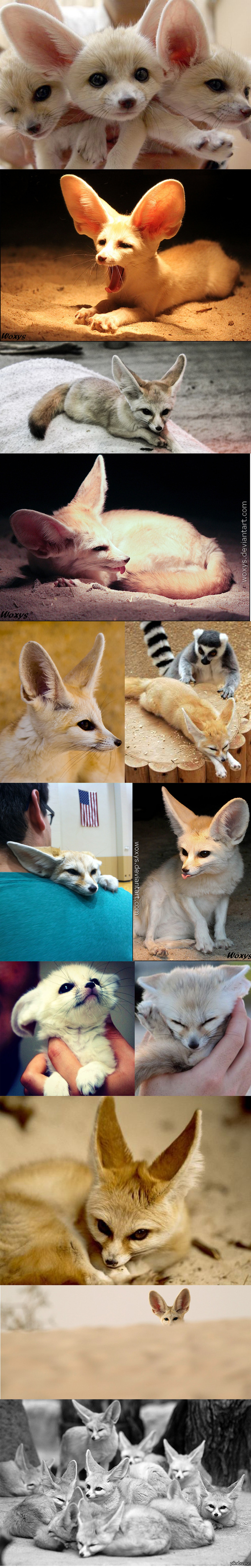 �����  ����� �������))