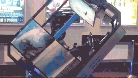 Fly motion 