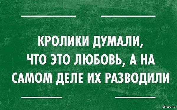 Про кроликов...