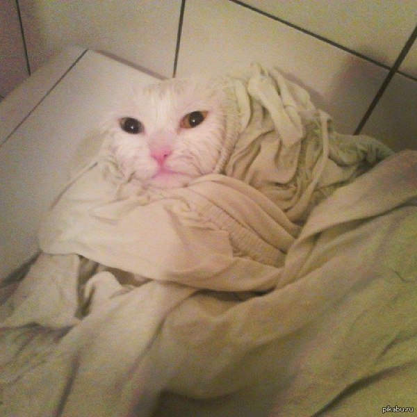         :