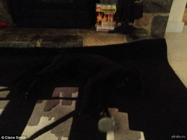 ����� �����