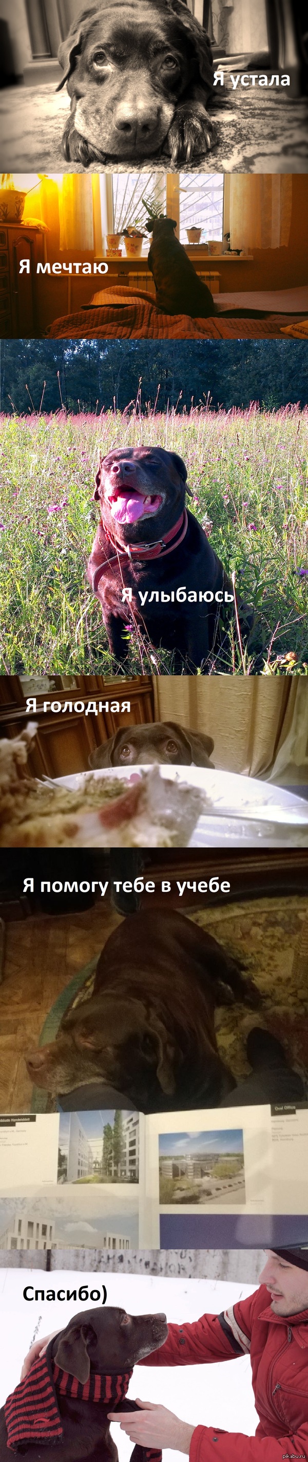 ������� ��� ����������� 13 ���!