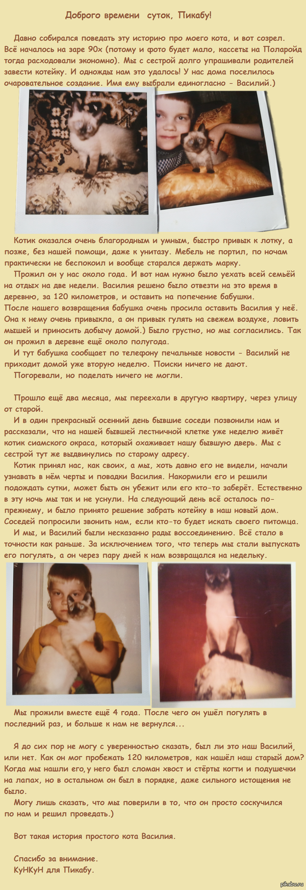 История кота Василия