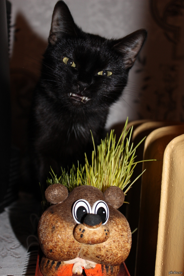 ���������� ����� ��������)))