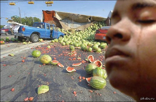 ����� ����� ����� �������������