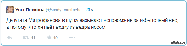 Создал мой день, с утра хорошее настроение. - Водкохлёб, Усы пескова