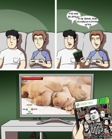 Sleeping Dogs 