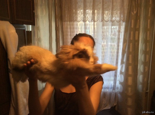 Всем суперпасхального кролика)))