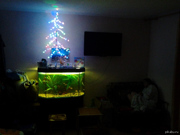 ������ ���� ...