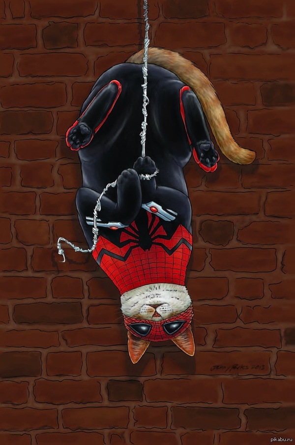 Superior Spider-cat 