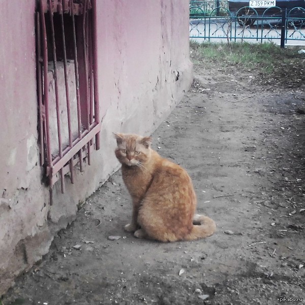 ���� ����������...