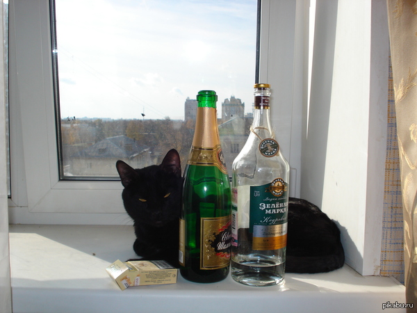 ������� ������� ���������