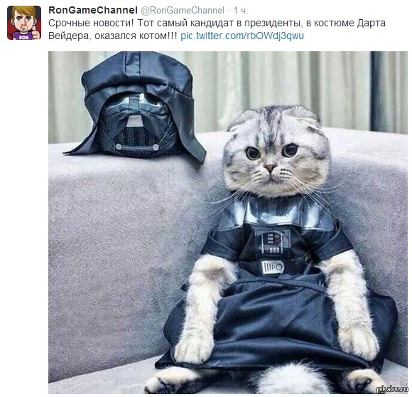 Вся правда. | Пикабу