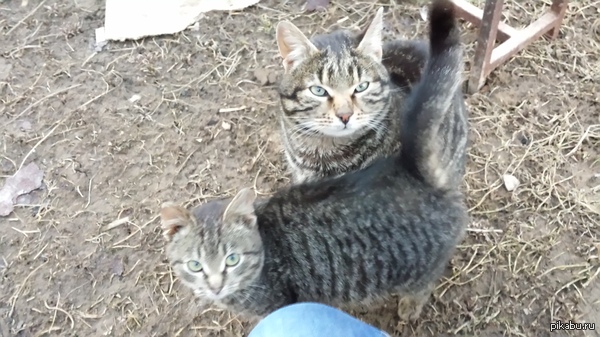 ���������������� ����...