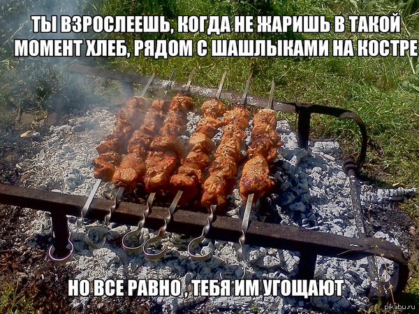Тщетность бытия