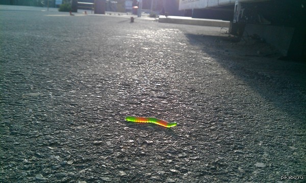 Одиночество в Питере.