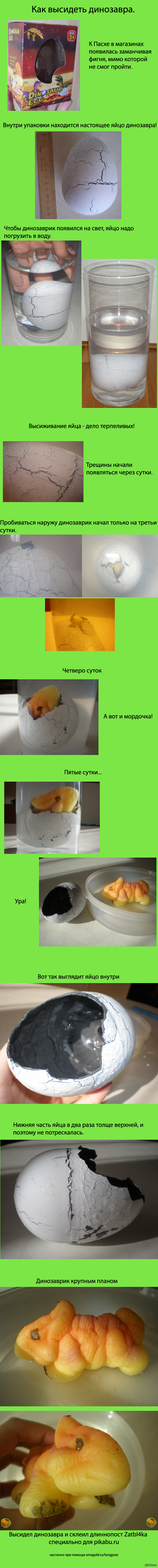 Как высидеть динозавра.