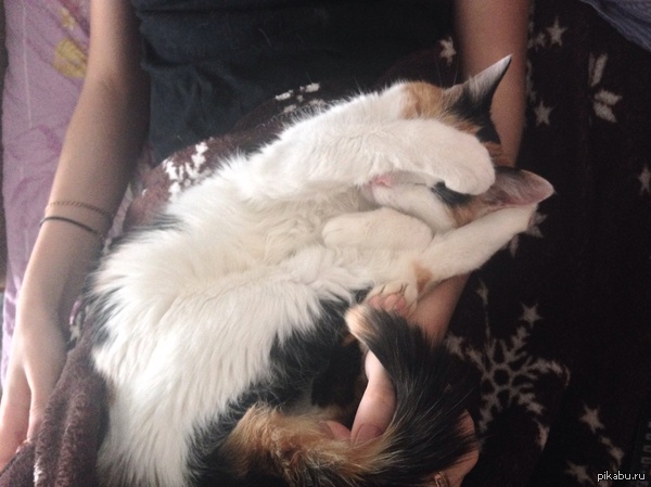 ������ ����!