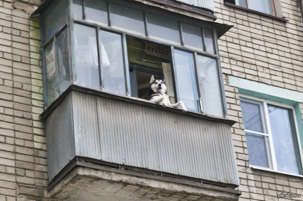 ������������ ����� �� ������ � ����� ����� ������� ���-�� ��������