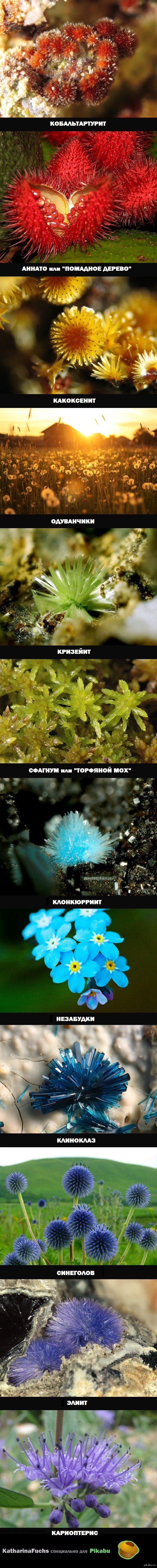 ��������� ����� ������� � ������