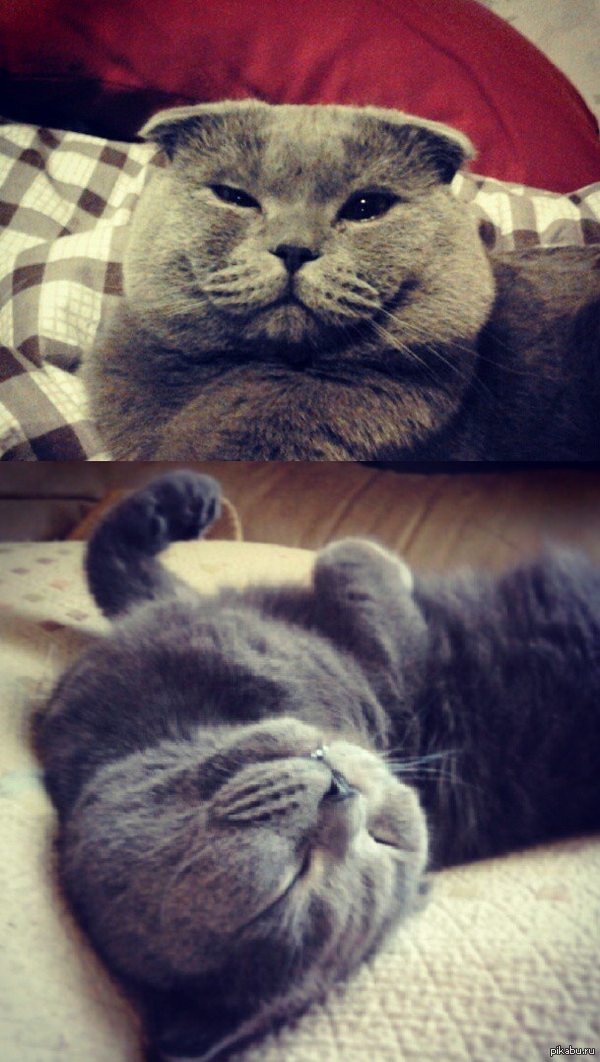 ����������������� �� ������ - ���������� ������ ����!