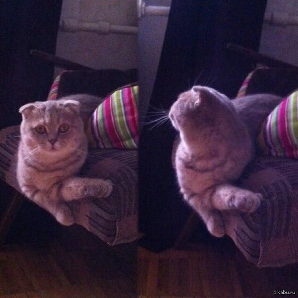 Нормально лечь? не, не слышала