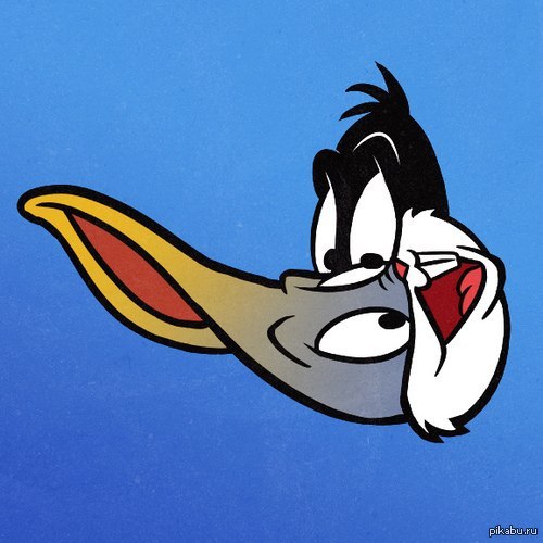 Bani Daffy  or Baks Duck  .