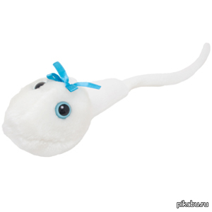 ���������� �������