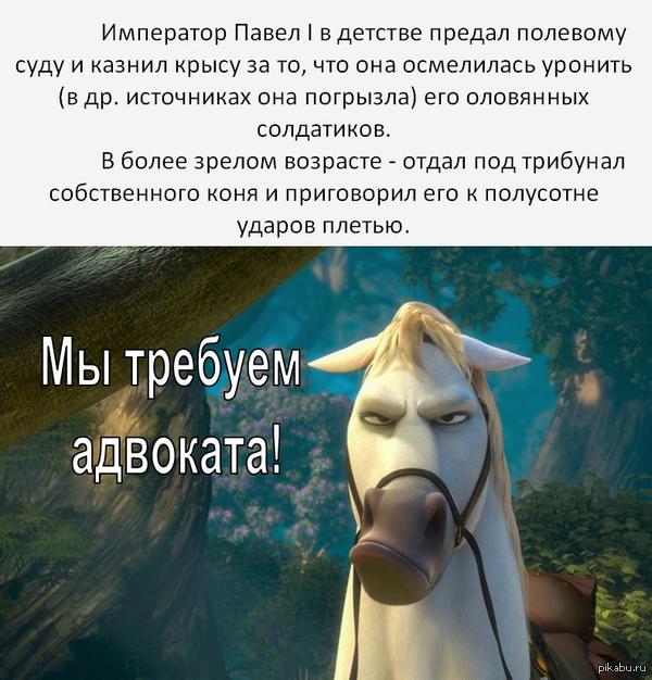 �� ����� �������� ��� � ����