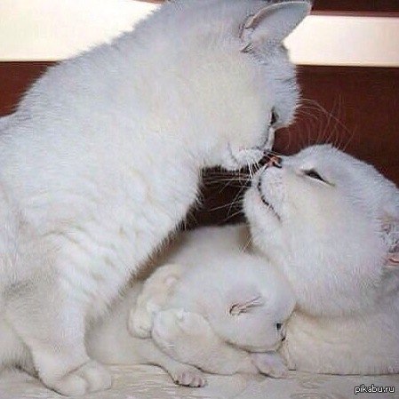 ��� ���� ������� ���-�� ����: "������� �� ����, �������" XDDD!