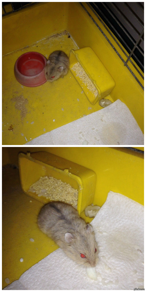 ������������� �����.