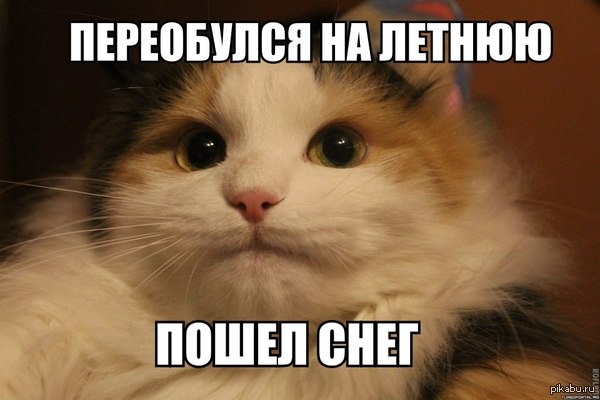 ����� ��������