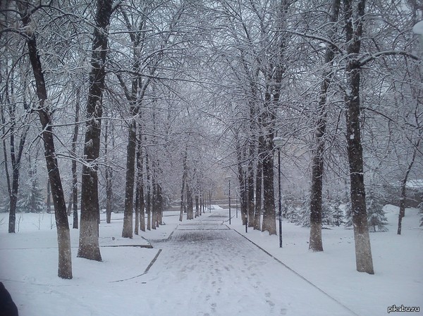 24.04.2014 ���.