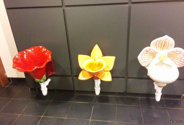 ������ ������ � ������������ �������