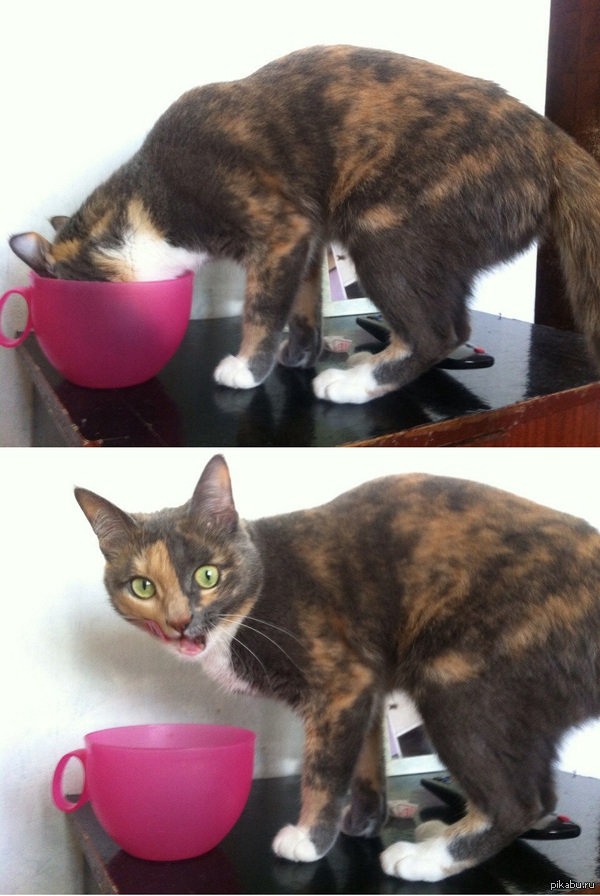 Стоило только отвернуться...