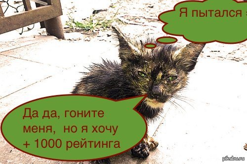 ���� ���������������