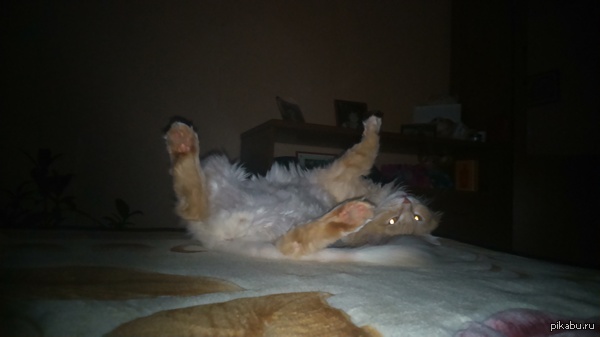 ���������:)