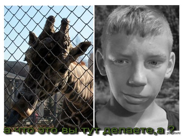 теперь поняла,на кого был похож)