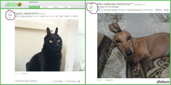   ,     )))  <a href="http://pikabu.ru/story/odnako_zdravstvuyte_2217697">http://pikabu.ru/story/_2217697</a>