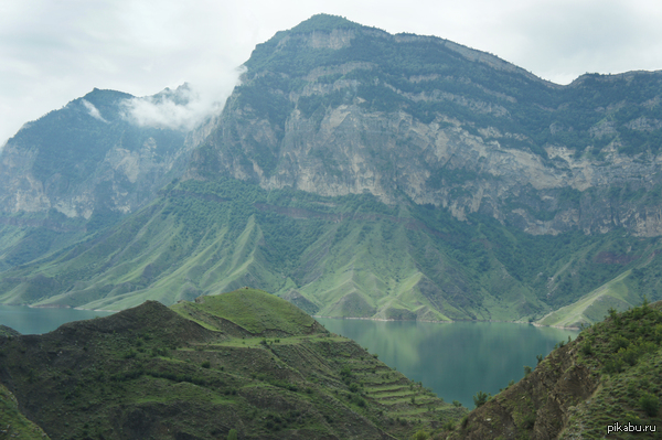 ��������.