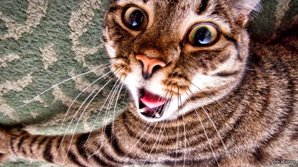   -   15 !  14      :D      :)