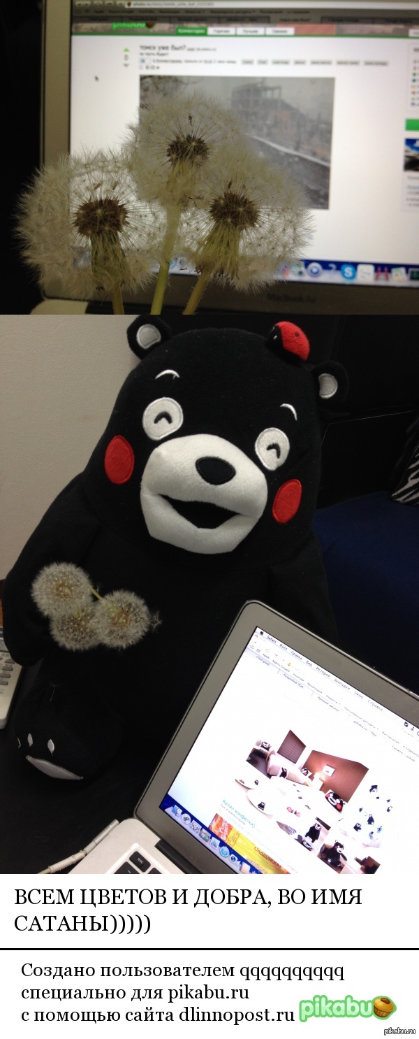 ������ ���������!