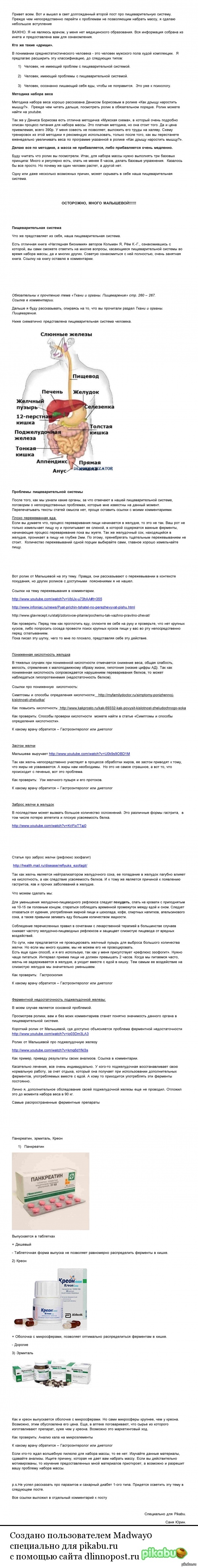 Набор массы - Пищеварительная система